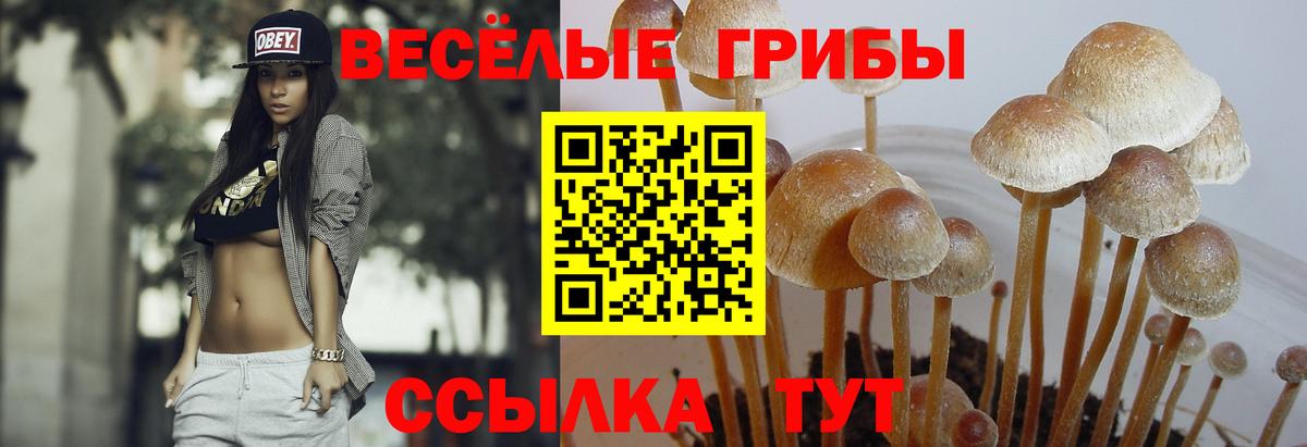 Псилоцибиновые грибы Magic Shrooms Приморско-Ахтарск