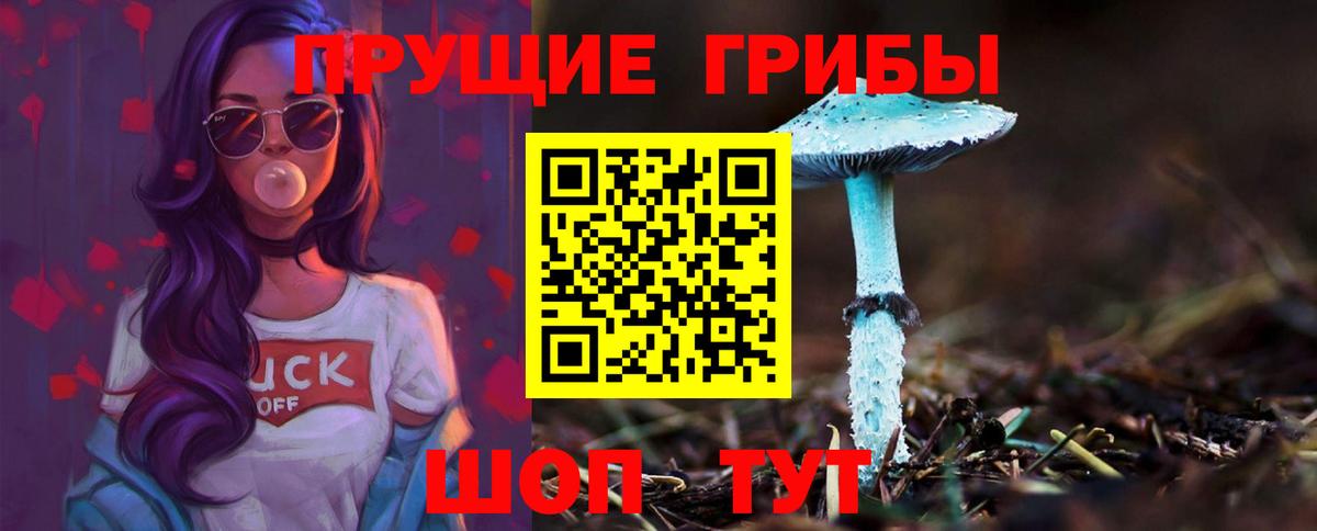 Галлюциногенные грибы Magic Shrooms  Псилоцибиновые грибы прущие грибы  Вход с VPN  Приморско-Ахтарск 